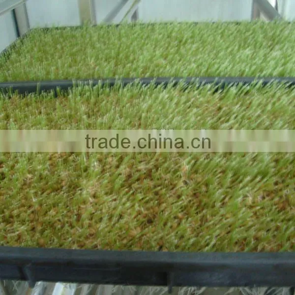 2016 Popular Animal Feeding Machine photo-3