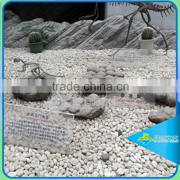 Dig Dinosaur Egg Games Used Magic Simulation Dinosaur Eggs