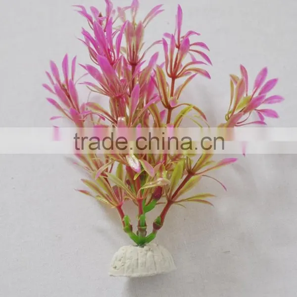 Zhongshan Maxware Wholesale Aquarium Aquatic Plants photo-4