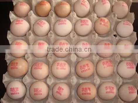 Egg Code Printing Machine photo-2