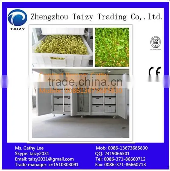 Green Bean Sprout Making Machine/machinery/maker