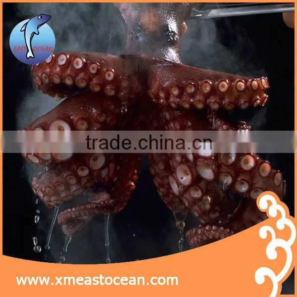Frozen Seafood Product Matako