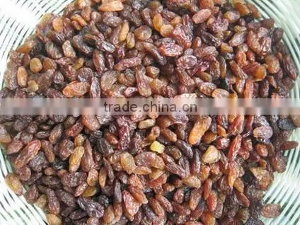 Supply Varies Dried Raisins in High Quality photo-6