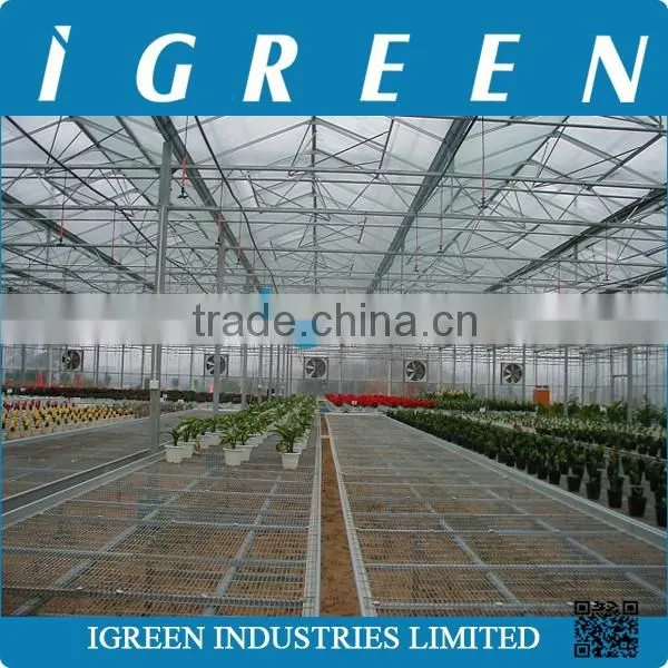 Venlo Type Flower Multi Span Commercial Greenhouse photo-5