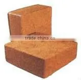 Coco Peat Bricks