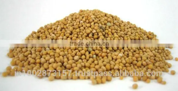 Mustard Seeds