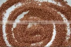 Teff Grain From South Africa photo-4