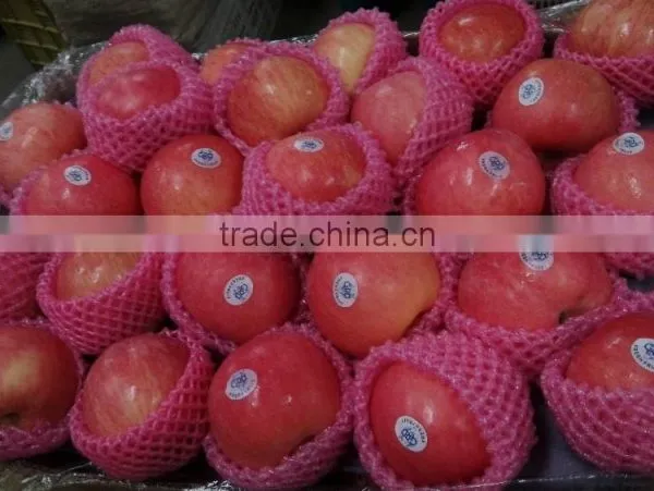 Export Dubai Fuji Apple photo-3