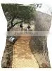 COIR MAT/COCONUT MAT/COCONUT FIBRE MAT photo-2