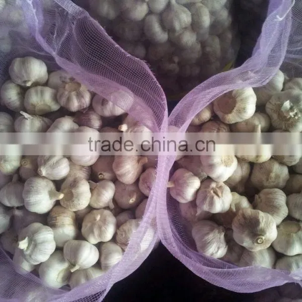 Fresh Garlic 2015 Crop photo-2