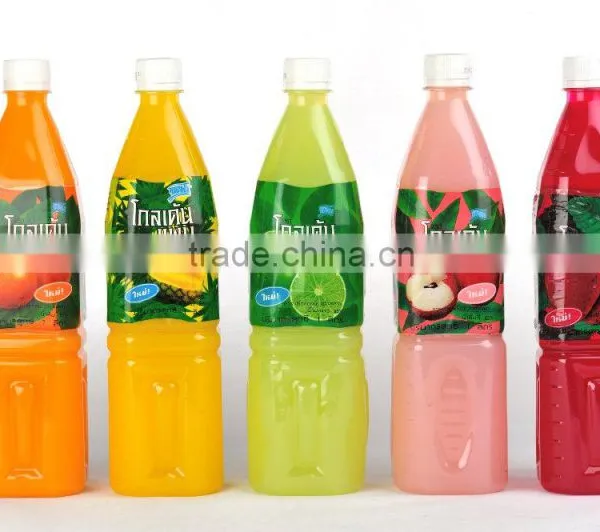 Fruit Drink (PET-Bottles)