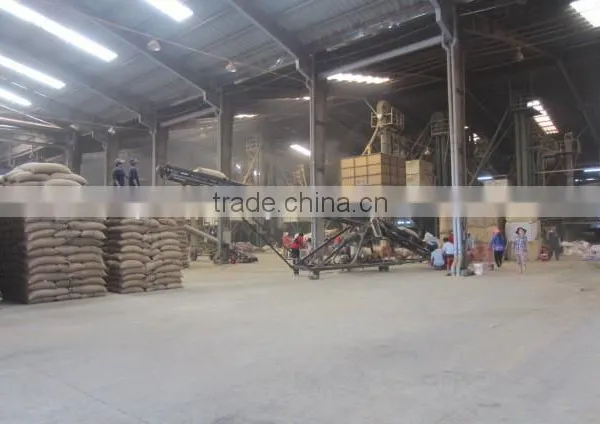 HIGH QUALITY ROBUSTA COFFEE BEANS photo-6