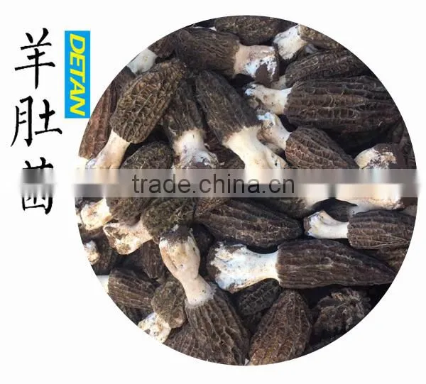 Wild Dried Morchella Vulgaris Grown in Mountain photo-5