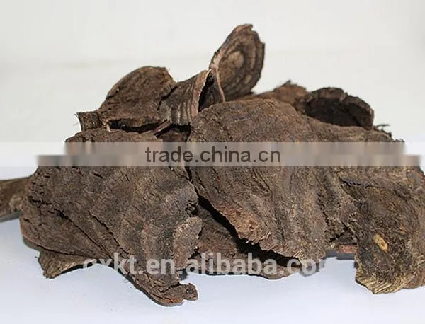 Thailand Black Pueraria Mirifica Dry Slice Tea Herbal Extracts Male Health Supplement photo-4