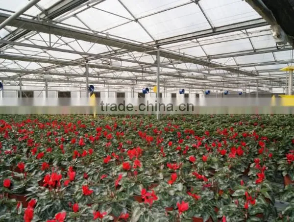 JINLONG Big Air Flow and Low Noise Air Circulation Fan for Poultry Farming photo-5