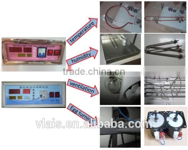 Solar Eggs Incubator 1056 Chicken Eggs Incubation Equipment photo-6