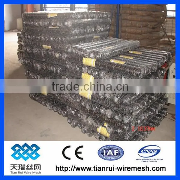 PVC Coated Galvanized Hexagonal Wire Netting /hexagonal Wire Mesh photo-4