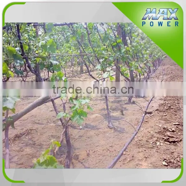 Commercial Greenhouse Drip Irrigation Belt photo-3