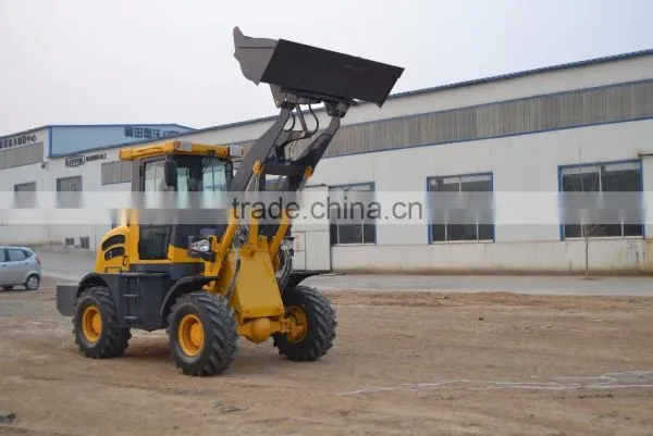 Qingzhou Factory High Quality Chinese Forklift for Sale photo-2