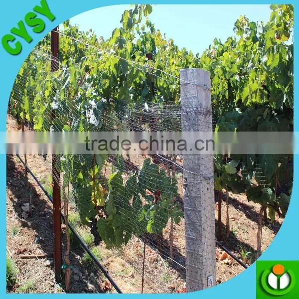 Bird Poultry Avaiary Netting Pest Control Parks photo-5