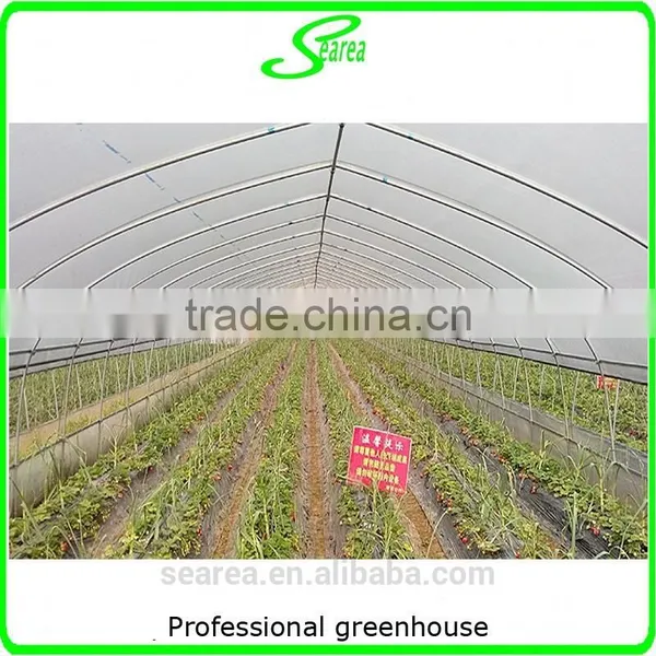 Greenhouse Project Cheap Commercial Agricultural Low Cost Greenhouse photo-4