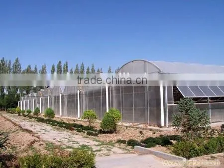 PC Sheet Covering Material Low Cost Greenhouse photo-2