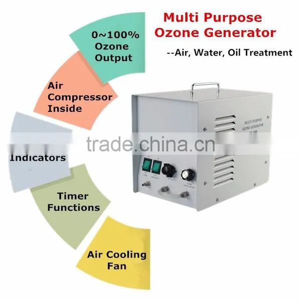 Ionizer for Water Pool Ionizer Generator de Ozone Generator mp photo-6