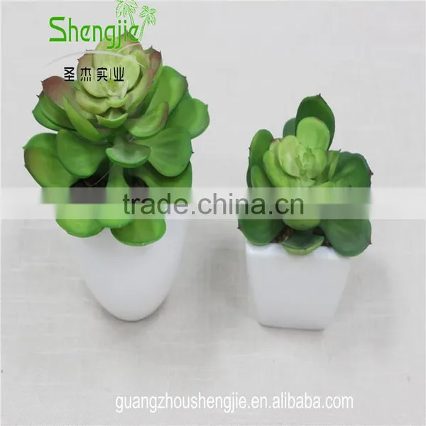 SJLJ013384 Artificial Plant / Fake Plastic Succulent Plant for Office / Restaurant Decoration photo-4