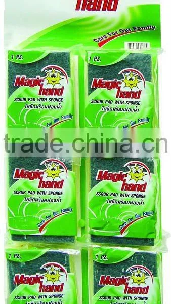 Kitchen Scouring Sponge Set