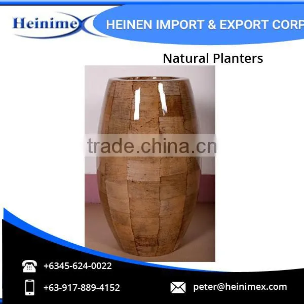 High Quality Fiberglass and Dried Banana Leaves Made Planters for Wholesale photo-3