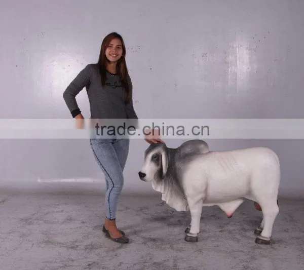 Definitive Brahman Looking Left photo-5