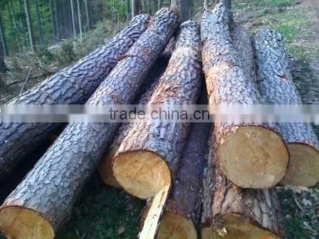 Pine Logs