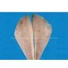 Frozen Red Fish Fillet