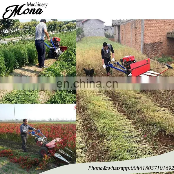 Rice Harvester Cutter Machine/small Wheat Combine Harvester/ Agriculture Machine Rice Reaper photo-4