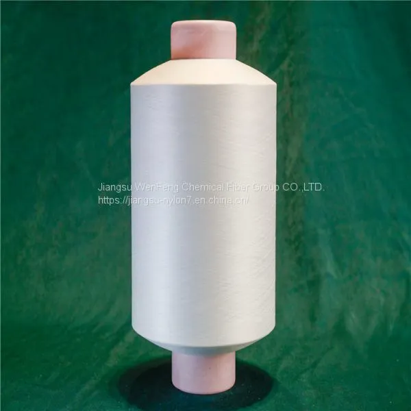 Semi Dull High Tenacity Nylon Filament Yarn for Knitting & Weaving
