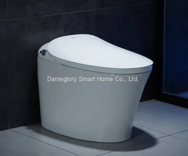 Smart Toilet K19036 Intelligent Toilet Foot Induction Flushing Convenient for Men