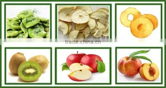 CE Certificate Fruit Chips Vegetable Vacuum Fryer photo-5
