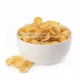 Factory Supply Breakfast Cereal Production Line Corn Flakes Extruder Making Machine photo-4