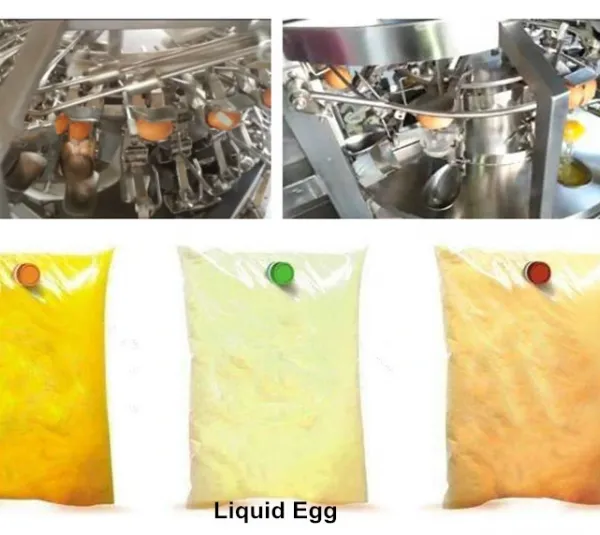 Whole Automatic Egg Processing Line photo-2