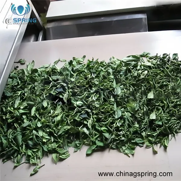 Automatic Industrial Microwave Dryer for Herbal Leaves Processing PLC Control Drying Sterilization Equipment photo-3