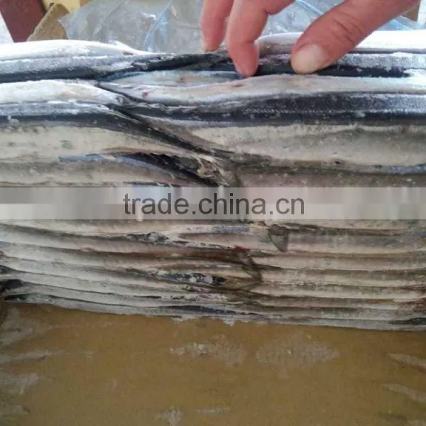 100 Gram Pacific Saury Cololabis Saira photo-2