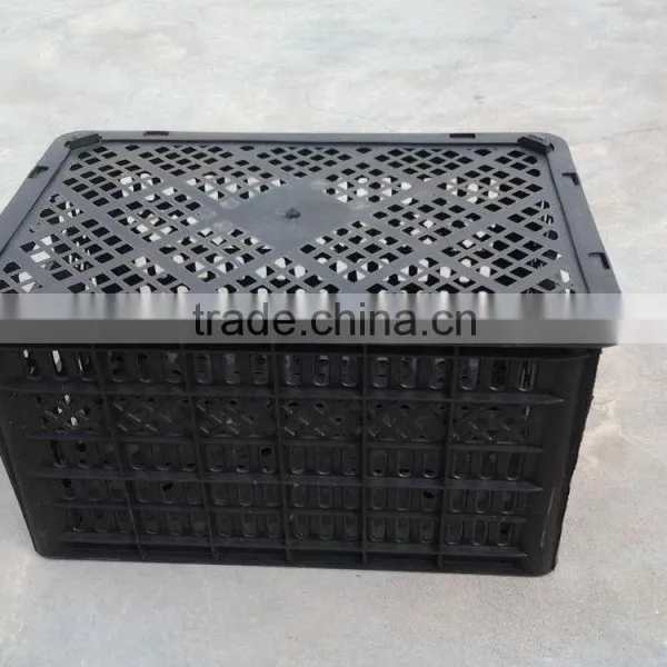 Plastic Fruit Box Injection Molding Machine