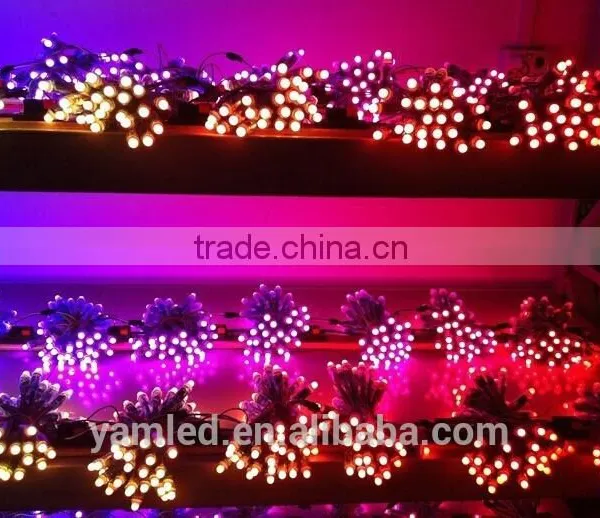Best Selling 13w LED Pixel Lights Christmas Led Lights Led Stalk Lights photo-2