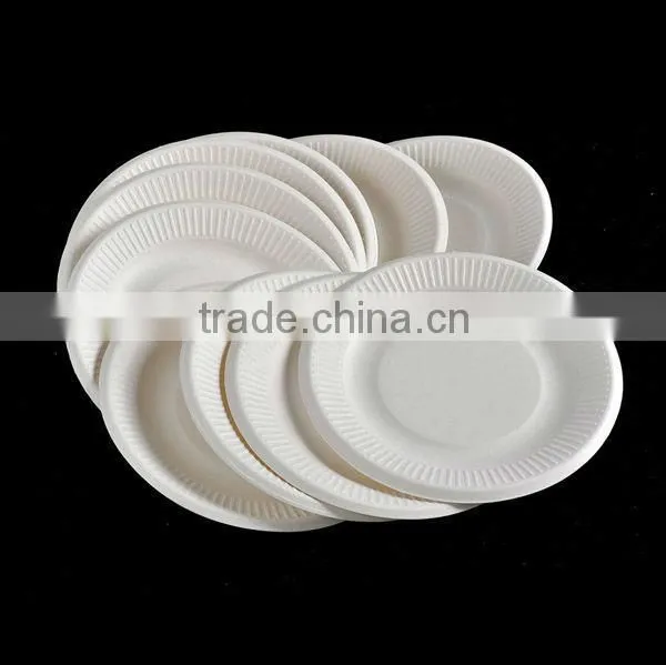 6 Inch Disposable Stripe Sugarcane Plates photo-2