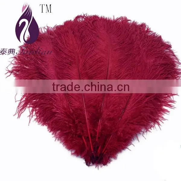 15CM-20CM Ostirch Feather,TURQUOISE BLUE Ostrich Feathers Wholesale photo-3