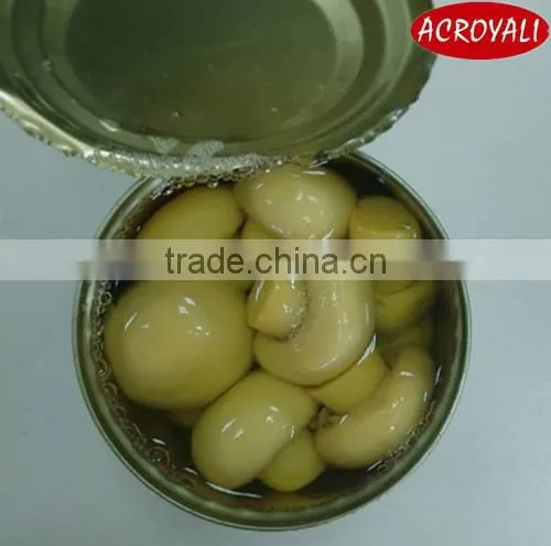 Chinese High Quality Canned Fresh Mushroom Whole photo-4