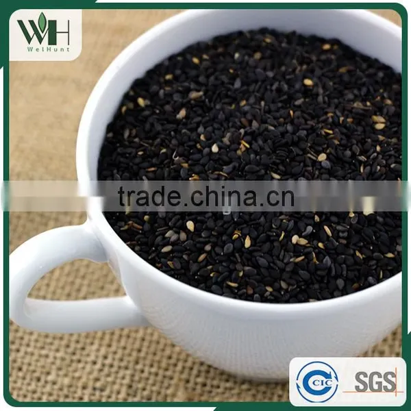 EU Organic Black Certified Sesame Seeds photo-2