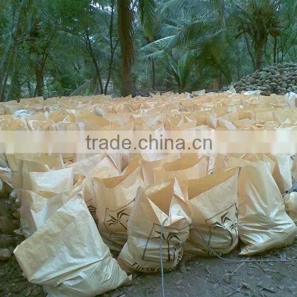 Golden Brown Matured Coconut