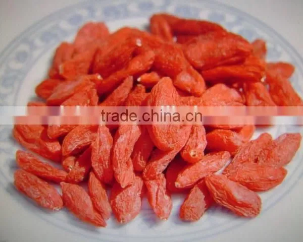 Goji Berry for Medicines photo-3