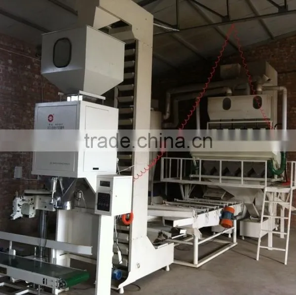 Chinese High Quality Healthy Low Price Sunflower Seeds From Supplier or Manufacturer photo-4